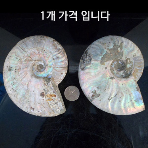 패철 풍수인테리어 풍수소품 기모아 쇼핑몰 031-898-1813